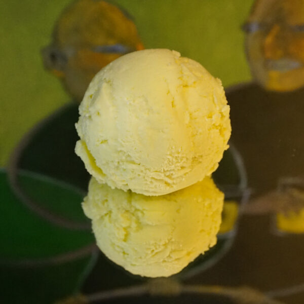 Introduction to Ice Cream Making - Image 2