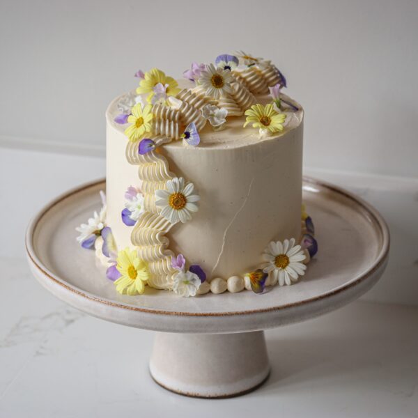 Super Fancy Blueberry & Lemon Cake